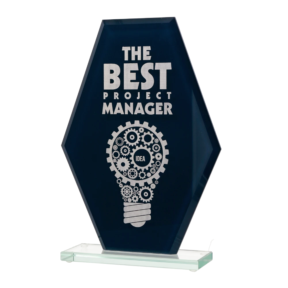 The Best Project Manager